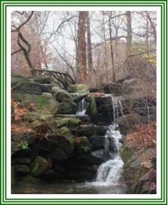 Central Park Waterfall